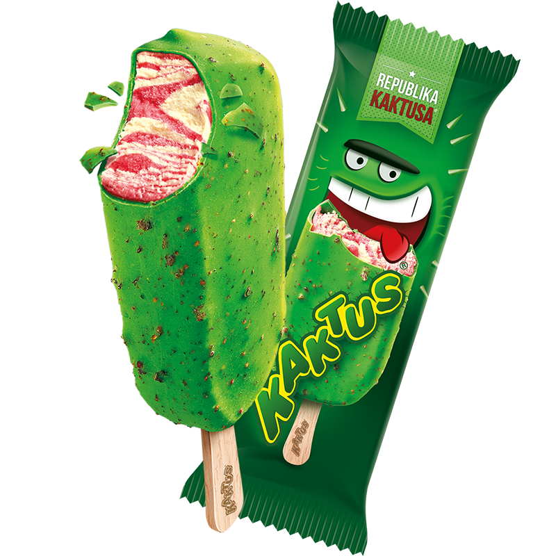 Kaktus Kaktus